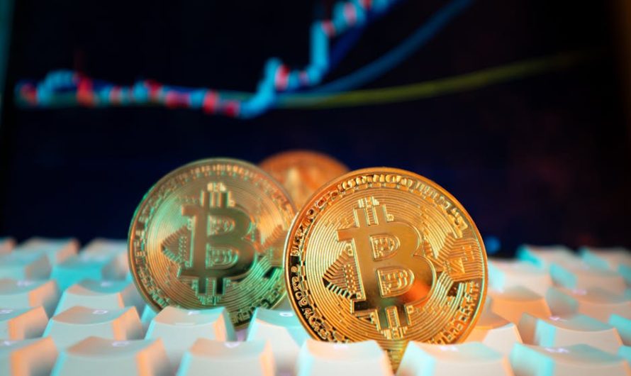 Découverte du Meilleur Crypto en Côte dIvoire