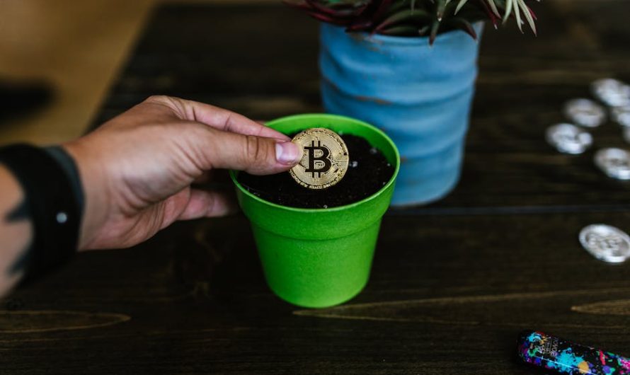 Investir dans les Cryptomonnaies en Côte dIvoire Le Rôle du Portefeuille Crypto