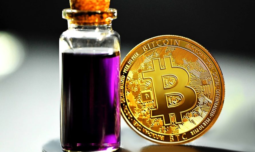 Marché des Cryptomonnaies en Côte d&rsquo;Ivoire en Pleine Expansion