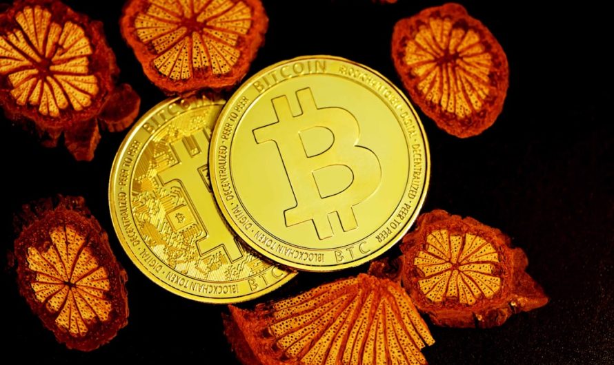 Guide pour une plateforme rapide pour faire du staking en Côte d&rsquo;Ivoire