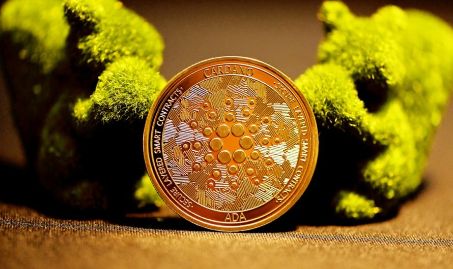 Staking de Crypto en Côte d&rsquo;Ivoire : Une Nouvelle Ère pour les Investisseurs