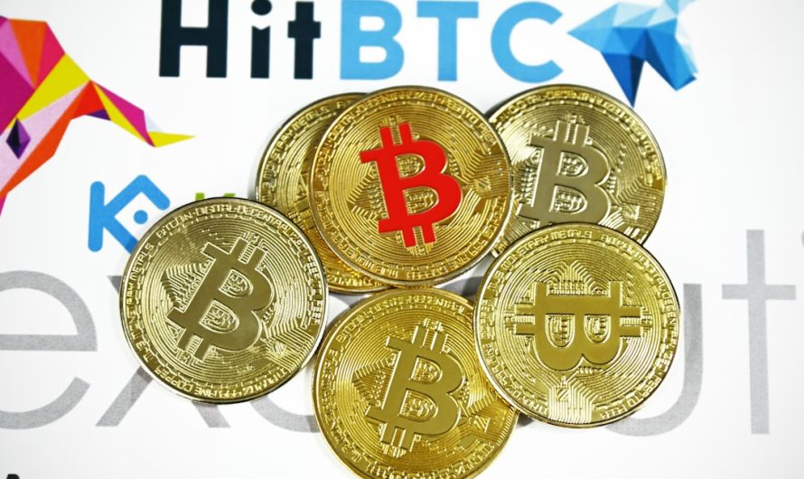 Plan de Trading en Ligne de Crypto en Côte dIvoire