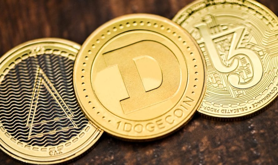 Investissement Crypto en Côte dIvoire les Meilleures Options Disponibles